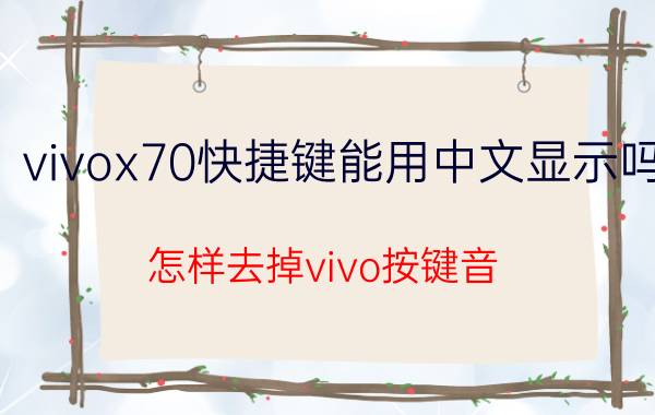 vivox70快捷键能用中文显示吗 怎样去掉vivo按键音？